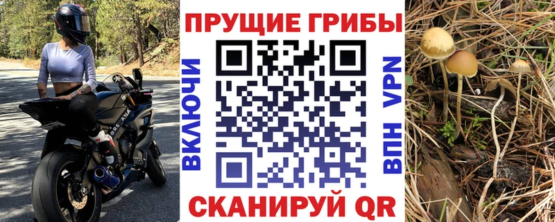 Псилоцибиновые грибы MAGIC MUSHROOMS  Купить где  Арсеньев 