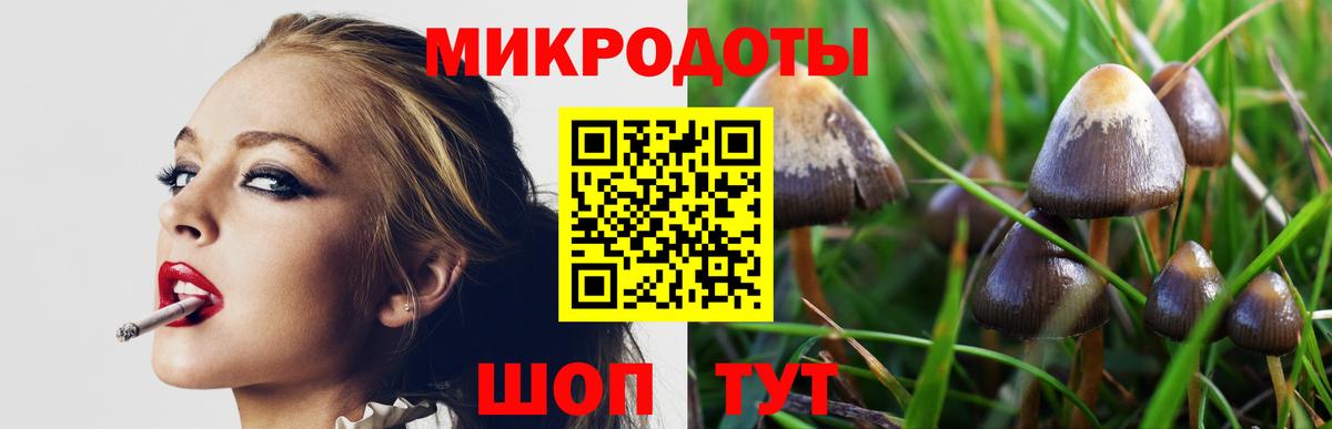 Псилоцибиновые грибы MAGIC MUSHROOMS  Псилоцибиновые грибы Psilocybine cubensis  Вход с VPN  Арсеньев 